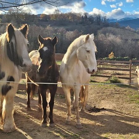 Chambre D'Hotes Le Petit Ranch Los Masos Eksteriør bilde
