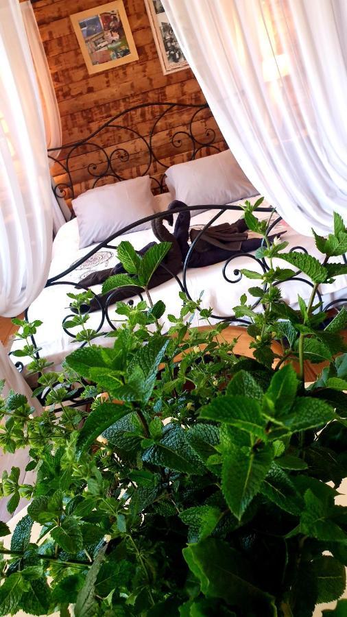 Chambre D'Hotes Le Petit Ranch Los Masos Eksteriør bilde
