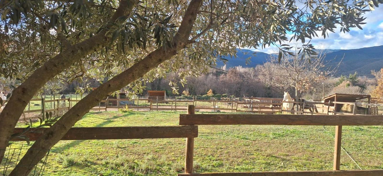 Chambre D'Hotes Le Petit Ranch Los Masos Eksteriør bilde